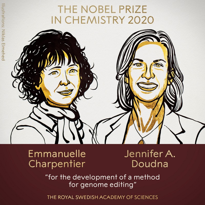 Laureatki Nagrody Nobla 2020 w dziedzinie chemii