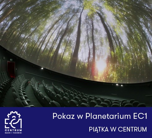 Piątka w Centrum: Pokaz w Planetarium EC1 - las wyświetlony na kopule planetaryjnej nad rzędami foteli